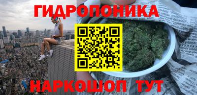 шишки Рязань
